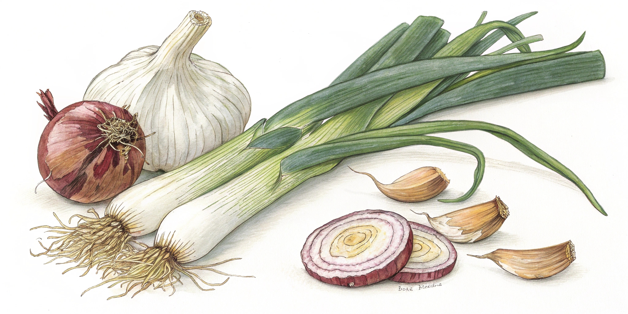 légumes sans fodmap