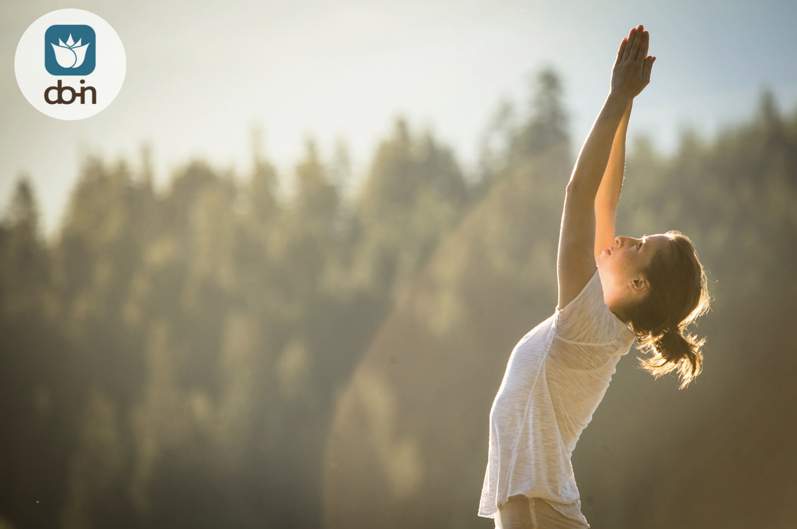 Do-In Yoga: Je Lichaam als Poort naar Balans en Overvloed