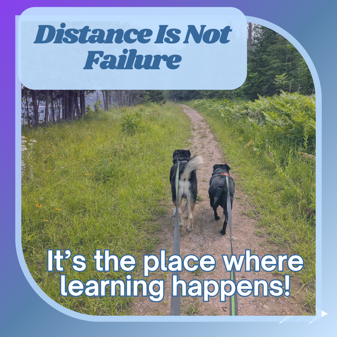 Two dogs walk down a trail in the woods with other dogs ahead on the trail. Text states "Distance is not Failure, Its the place where learning happens."