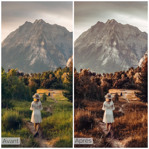 Presets photo lightroom voyage