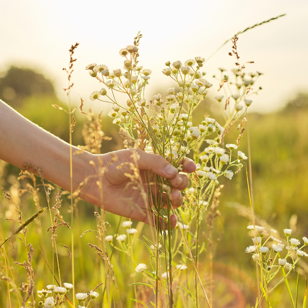 Calme paix intérieure sérénité stress anxiété