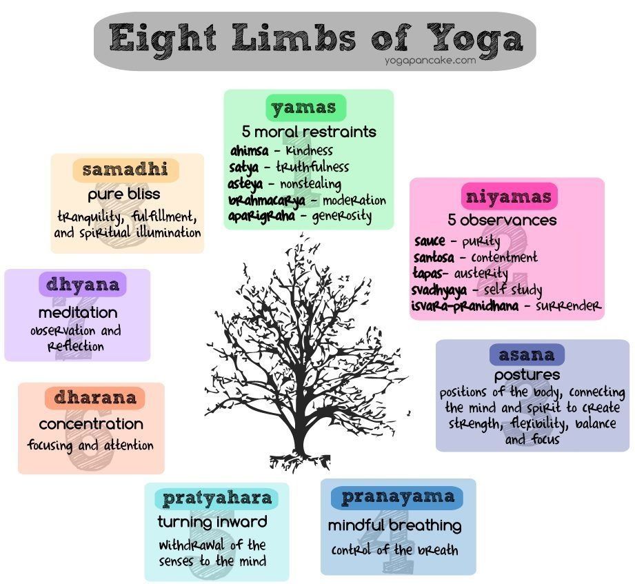 Master Yoga's 8 Limbs