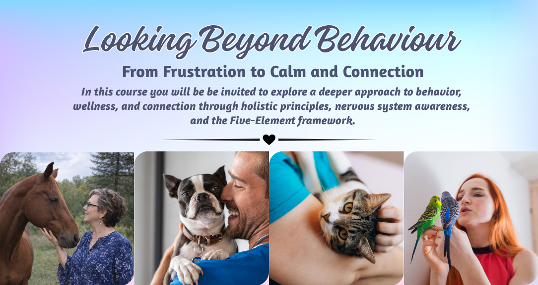people and animals communicating