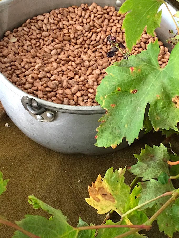 Mamá cooked frijoles de la olla (beans cooked in a pot) for the boarders and for her family. Her old dented-and-dinged galvanized pot was special to her. - a story prop idea for THE CIRCUIT by Francisco Jimenez, from LitWits Workshops