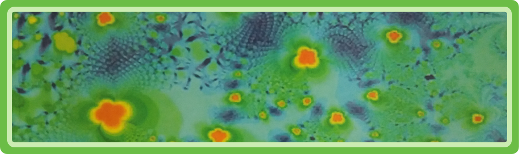 Omslag van het boek Herbal constituents door Lisa Ganora