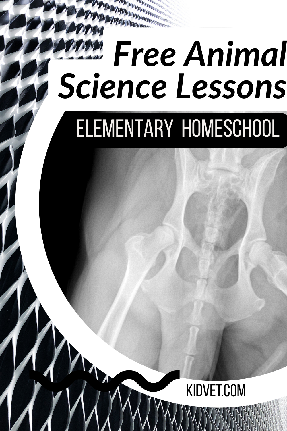 Free animal science lessons for elementary grades.