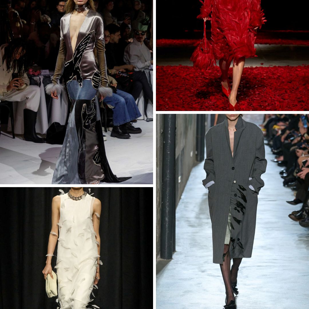 Runway collage of bird-inspired fashion from Fall/Winter 2025 collections. Features feather textures, wing-like appliqué, and floating textile layers by designers such as Marni, Ferragamo, and Jil Sander—exploring movement, distortion, and avian silhouettes.