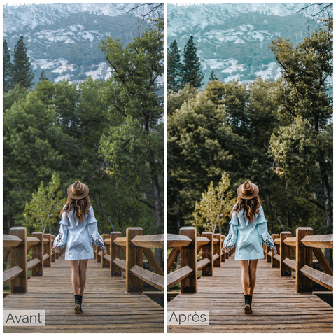 Presets photo lightroom voyage