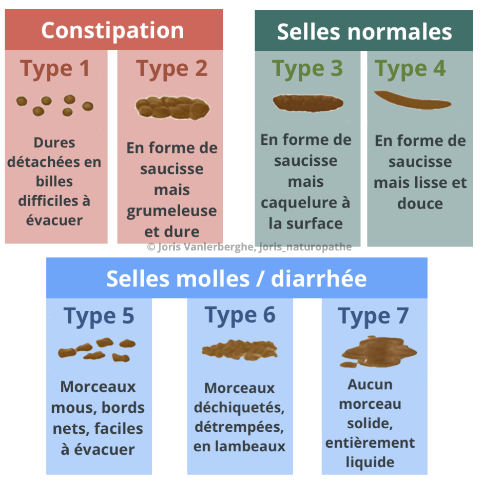 échelle bristol colon irritable