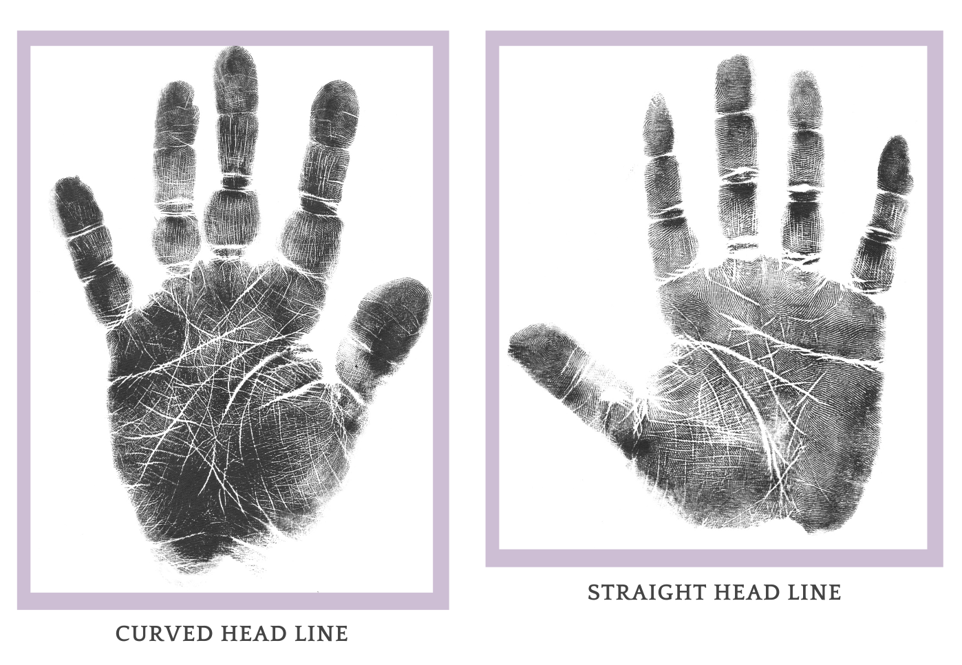 Palm prints featuring a curved head line and a straight head line