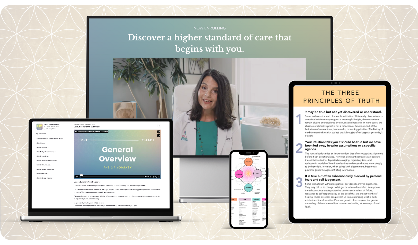 The LIT Journey Promo