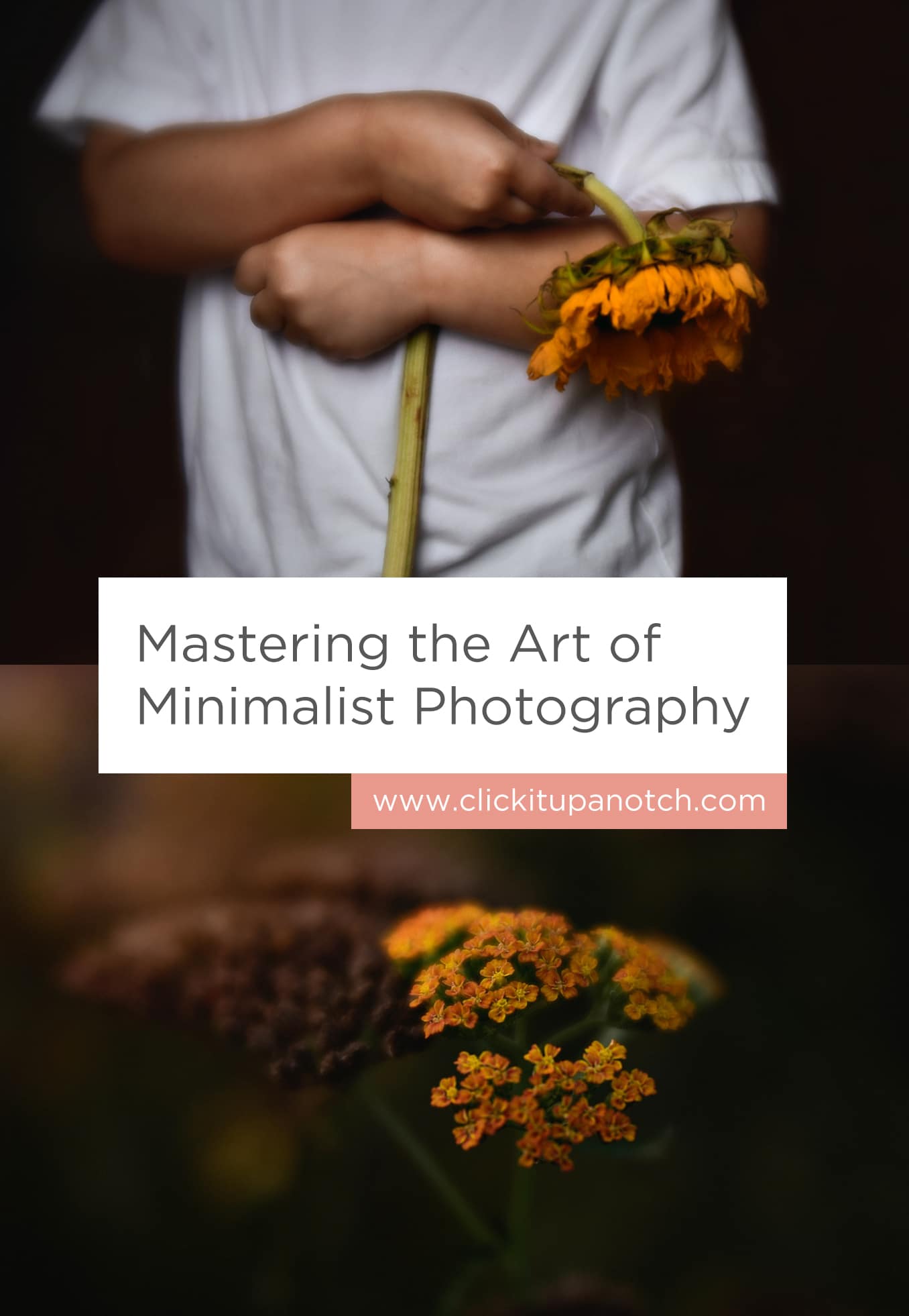 I love the look of minimalist photography and appreciate all the examples she gave to achieve these type of images. Read - "Mastering the Art of Minimalist Photography"
