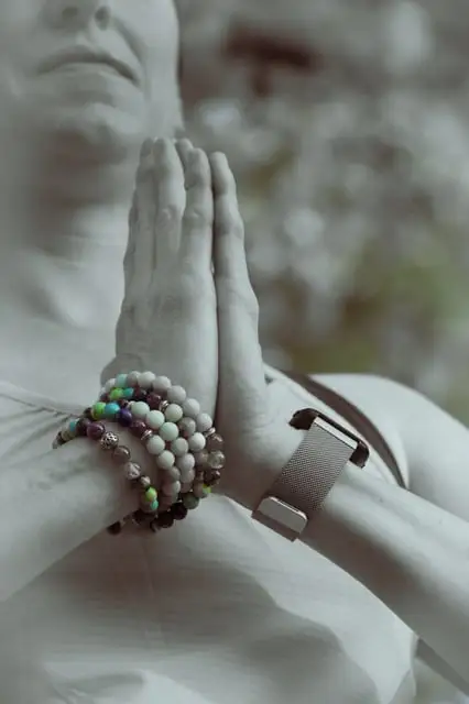 Essential Mudras- Anjali Mudra