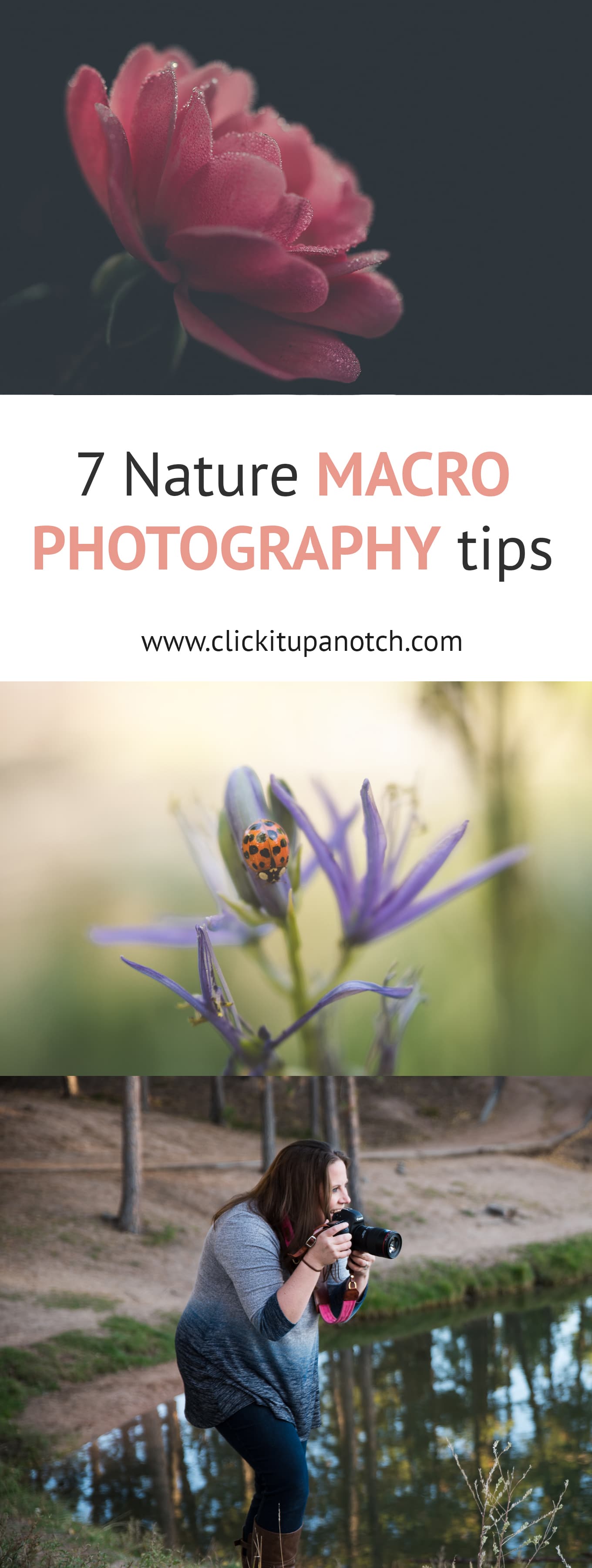 Macro photography is hard enough indoors. Going to use these tips the next time I try macro photography outside! Read - "7 Must Have Nature Photography Tips"