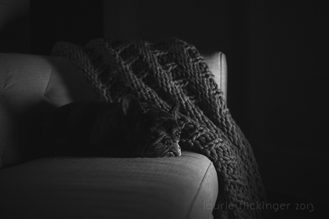 Sanford Buddy-4-Edit_CIUAN