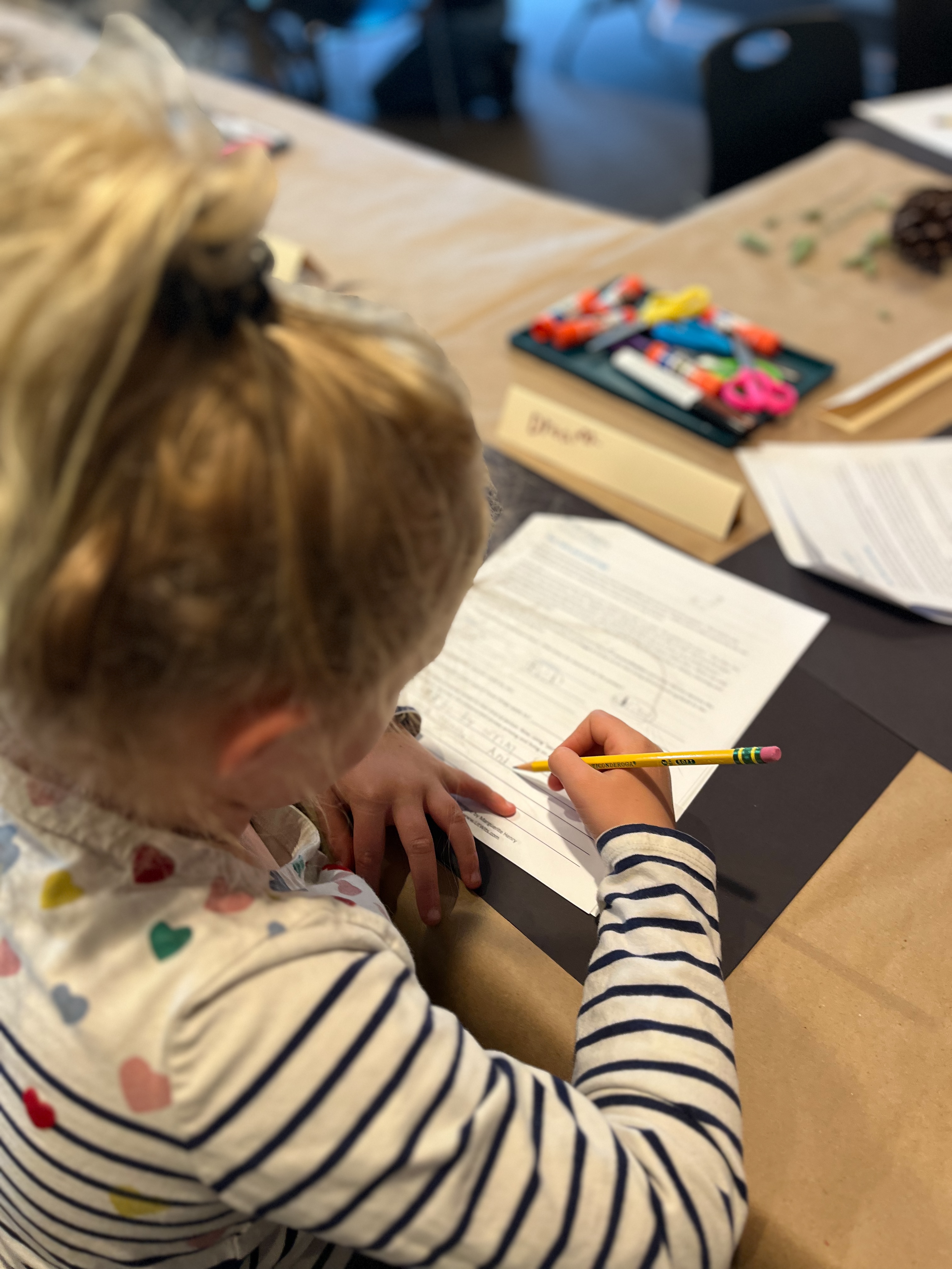 Using imagination to think of the island as a person caring for the ponies, and practicing the literary technique of personification.