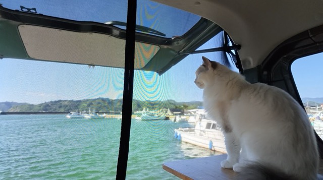 Millie by the sea