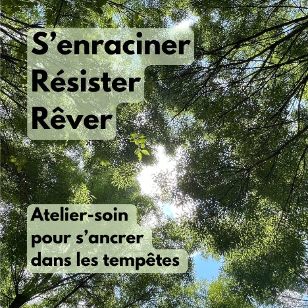 S'enraciner, résister, rêver, atelier-soin pour s'ancer dans les tempêtes