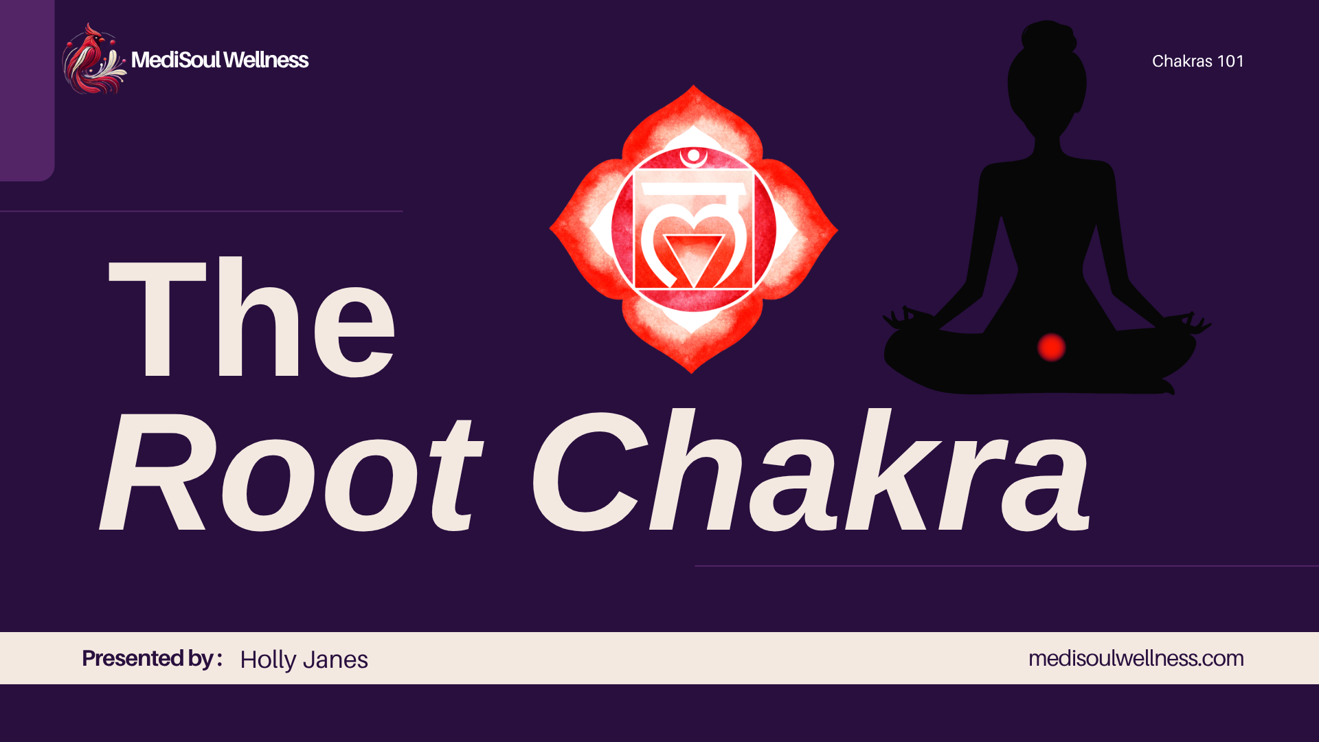 The Root Chakras Chakras 101