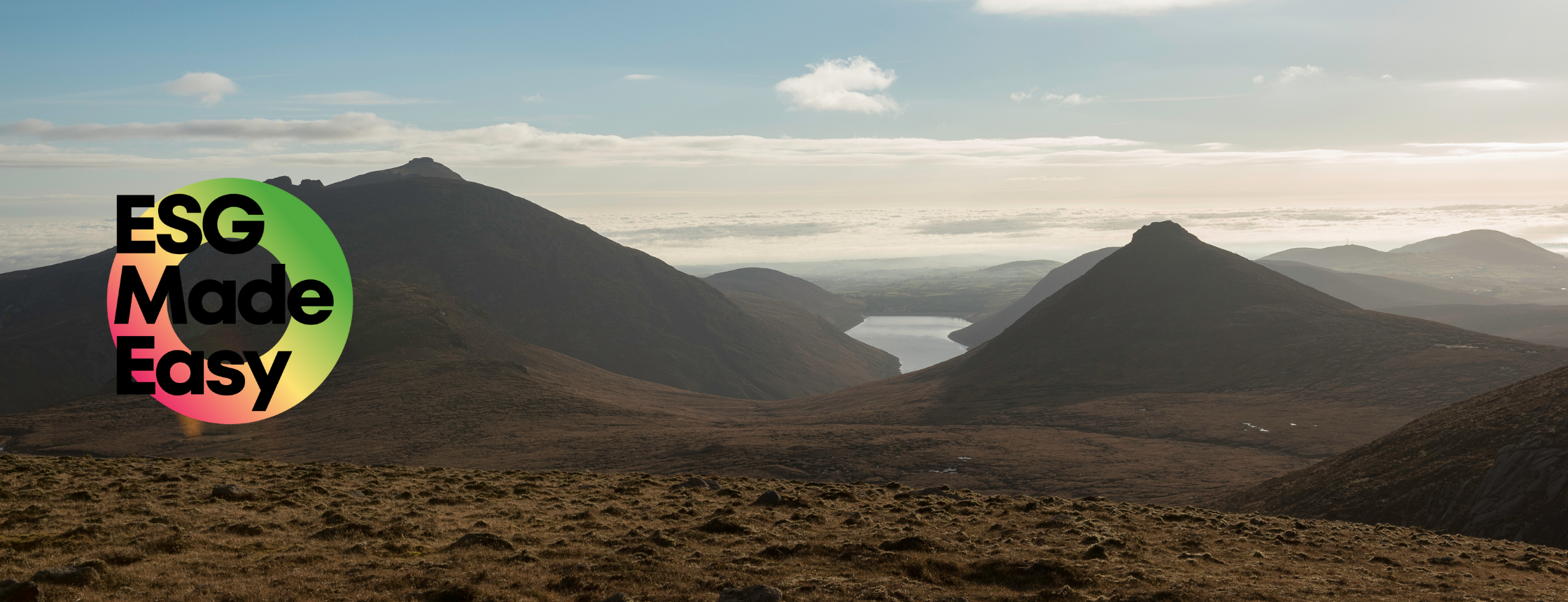 Digital Environmental Impact Assessment