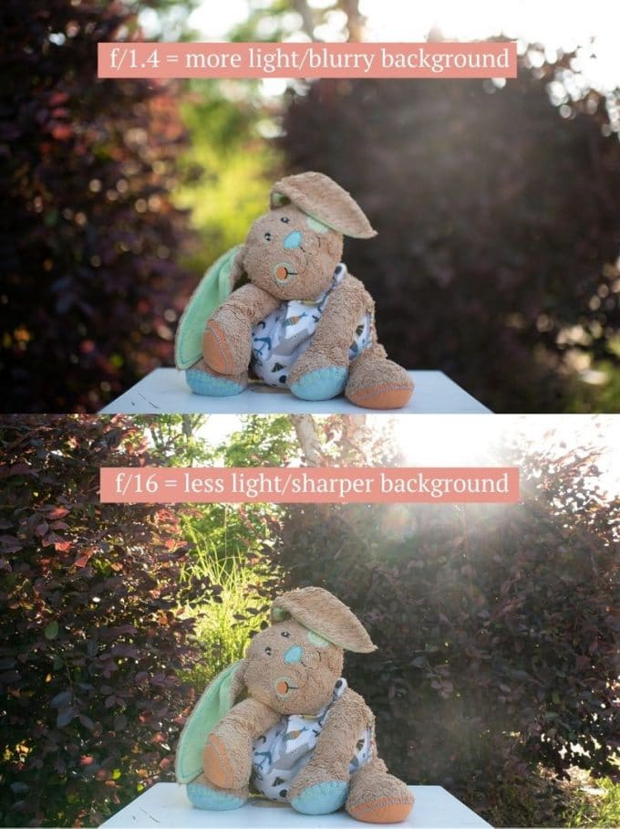 Comparing f/1.4 to f/16 apertures to show difference in blurry background