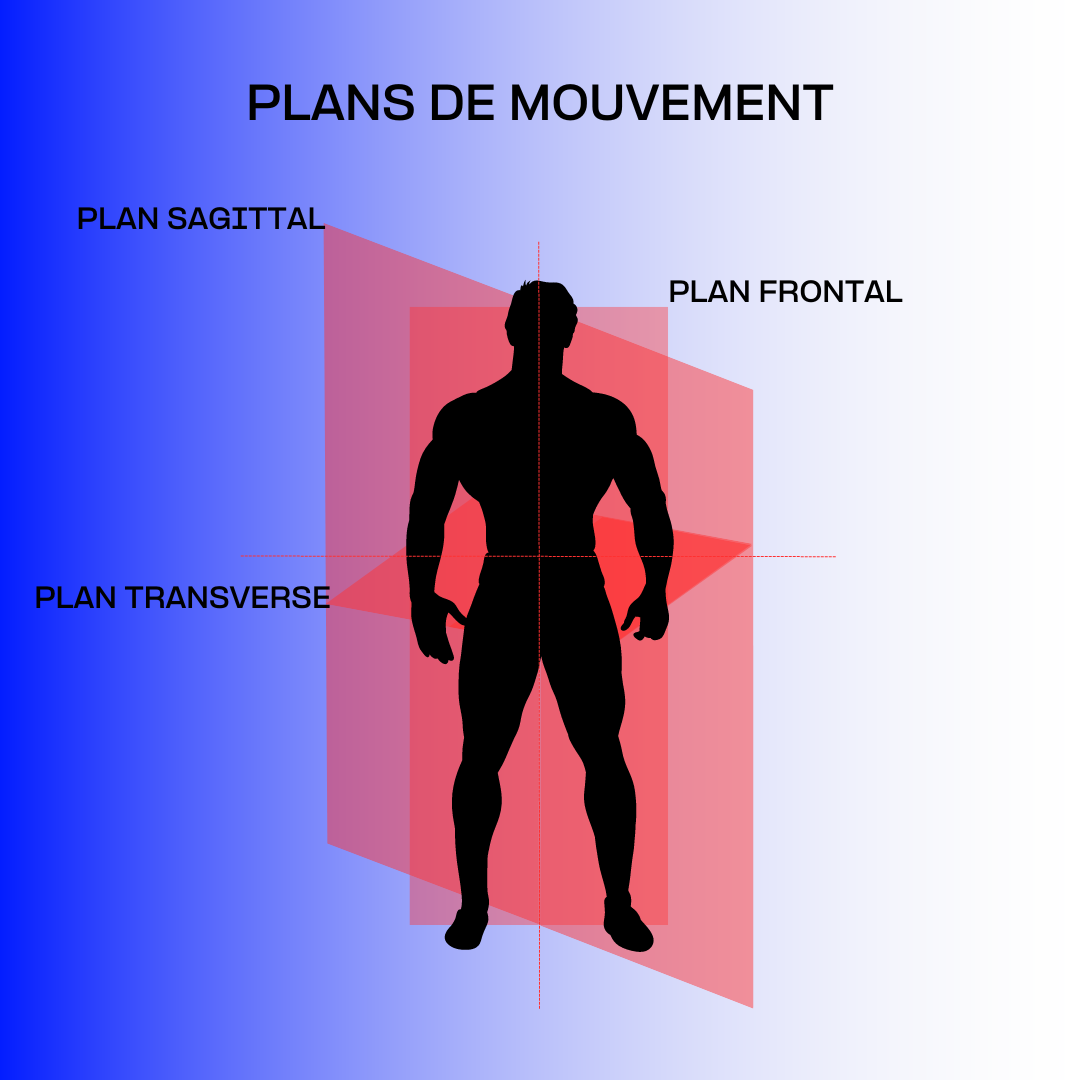 Plans De Mouvement