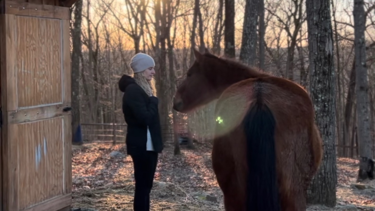 Women grounding with horse