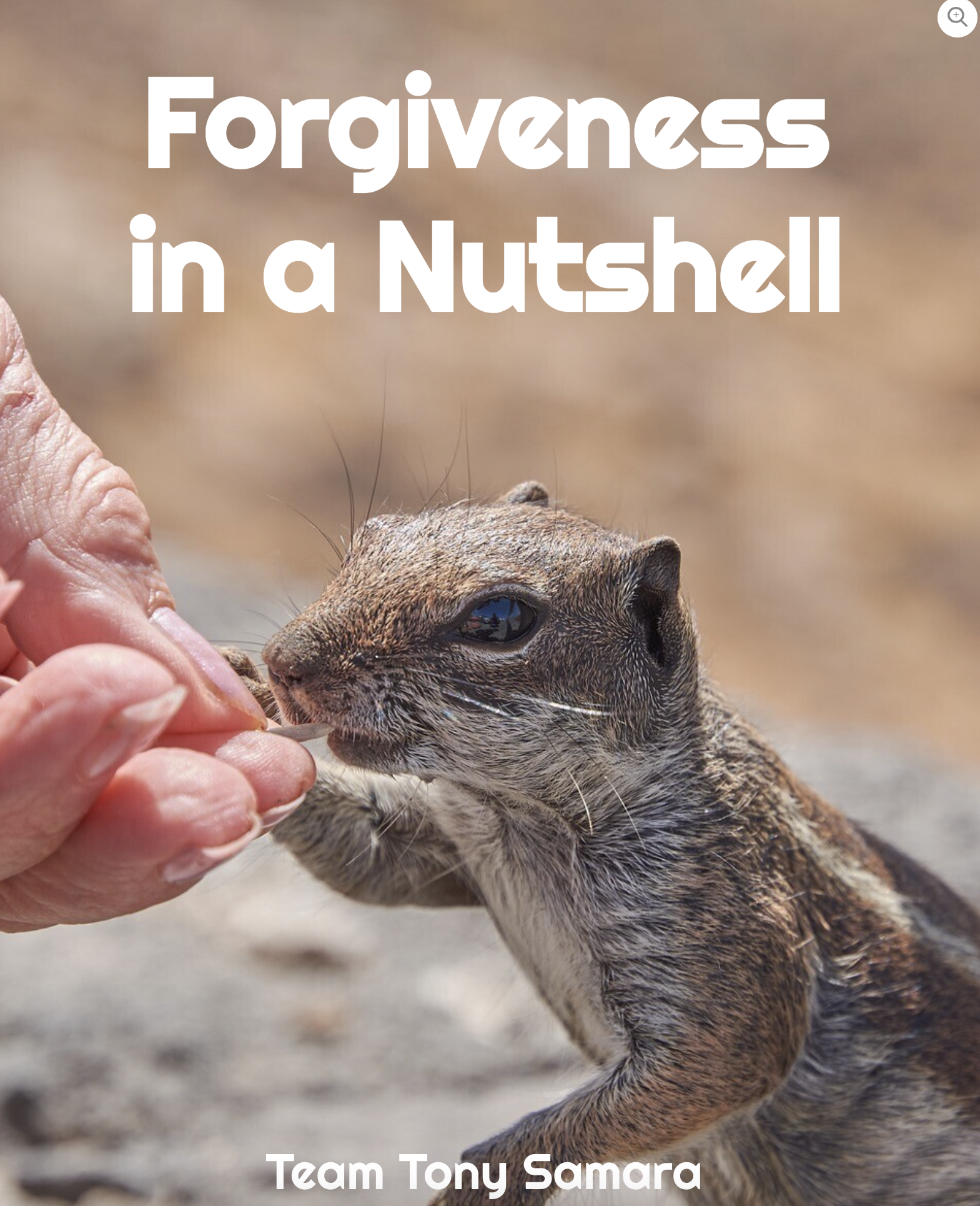 Forgiveness in a Nutshell: A Free PDF