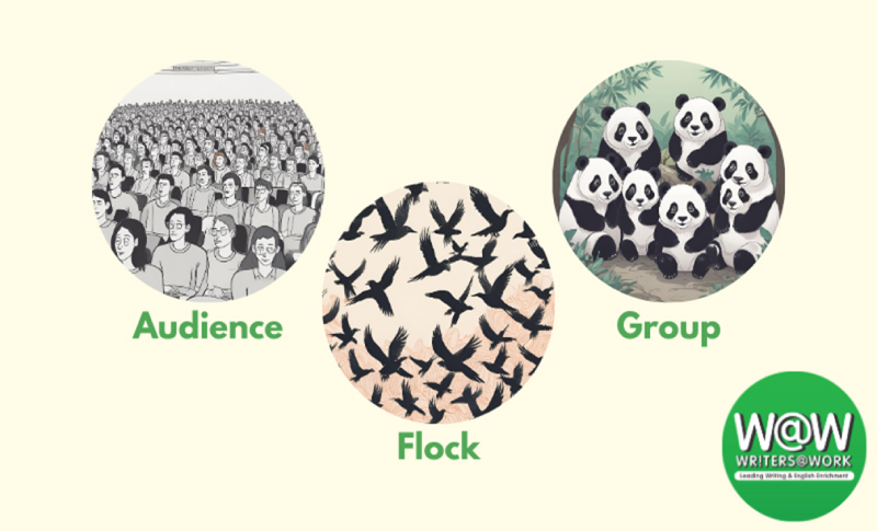 Collective Nouns - How Groups are Named in English