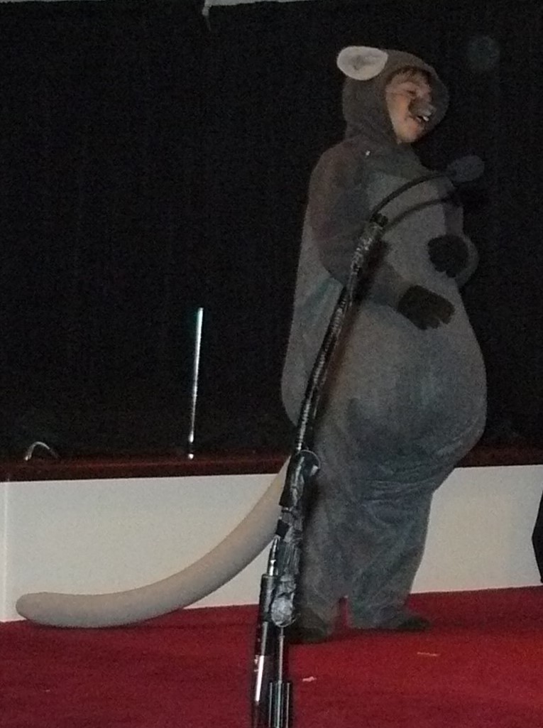 costume ideas homeschooldrama.com