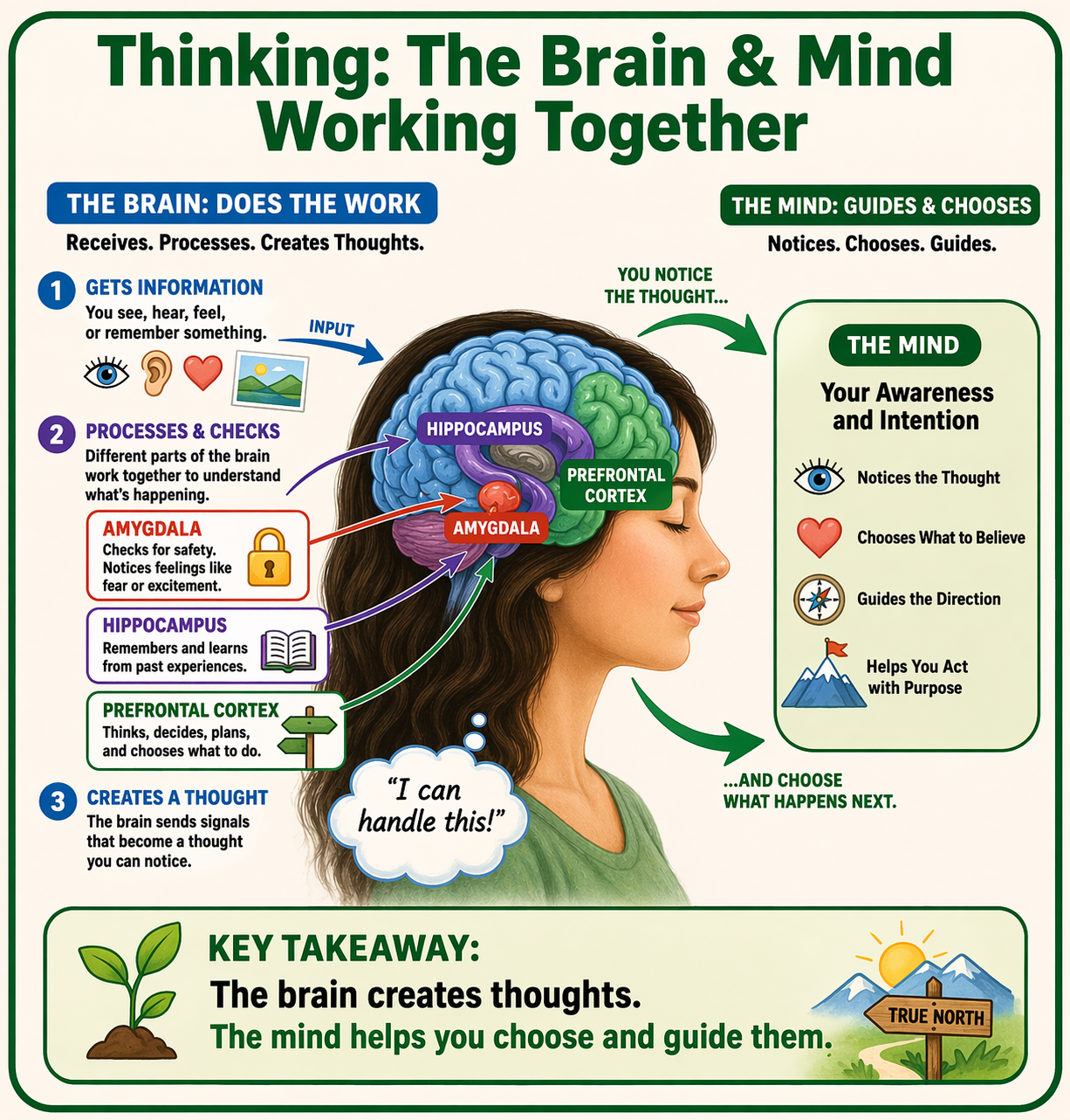 This colorful image contrasts the brain vs the mind, which I created with the help of AI.