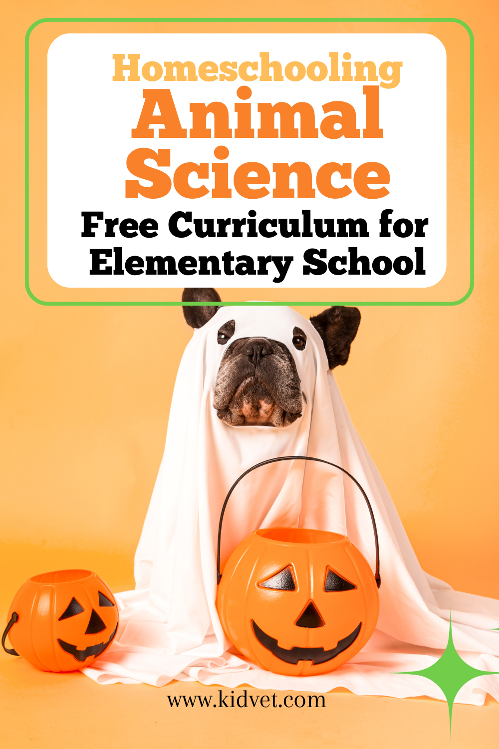 Animal science activities and worksheets for elementary kids.