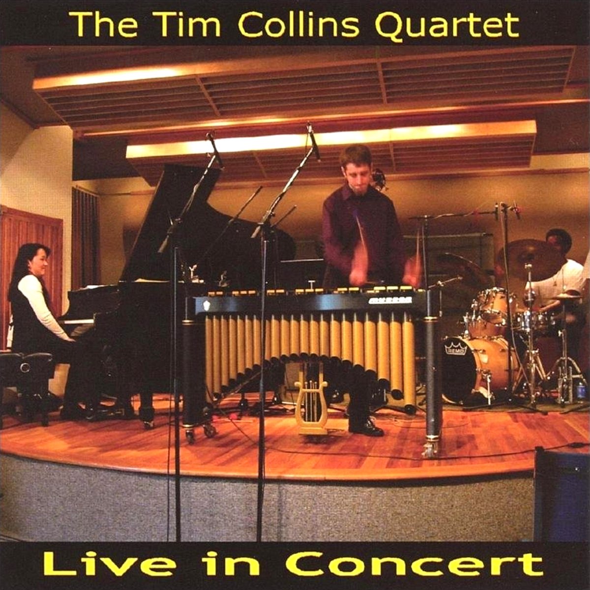 Live In Concert - Tim Collins