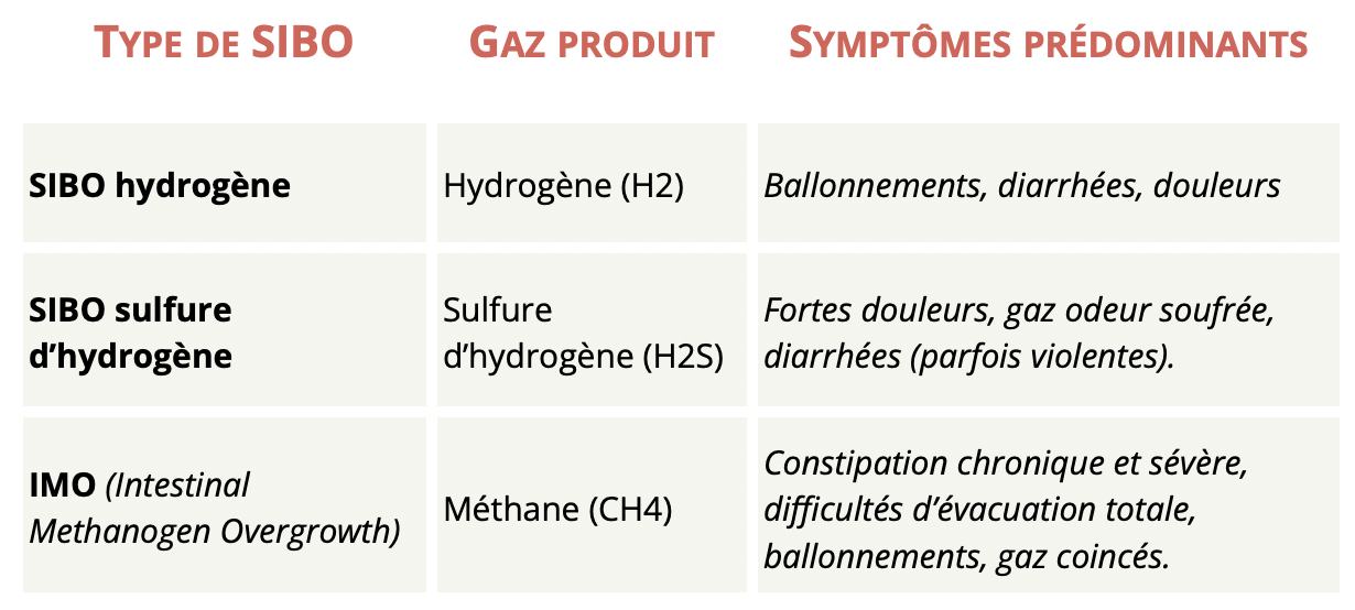 différents types de sibo