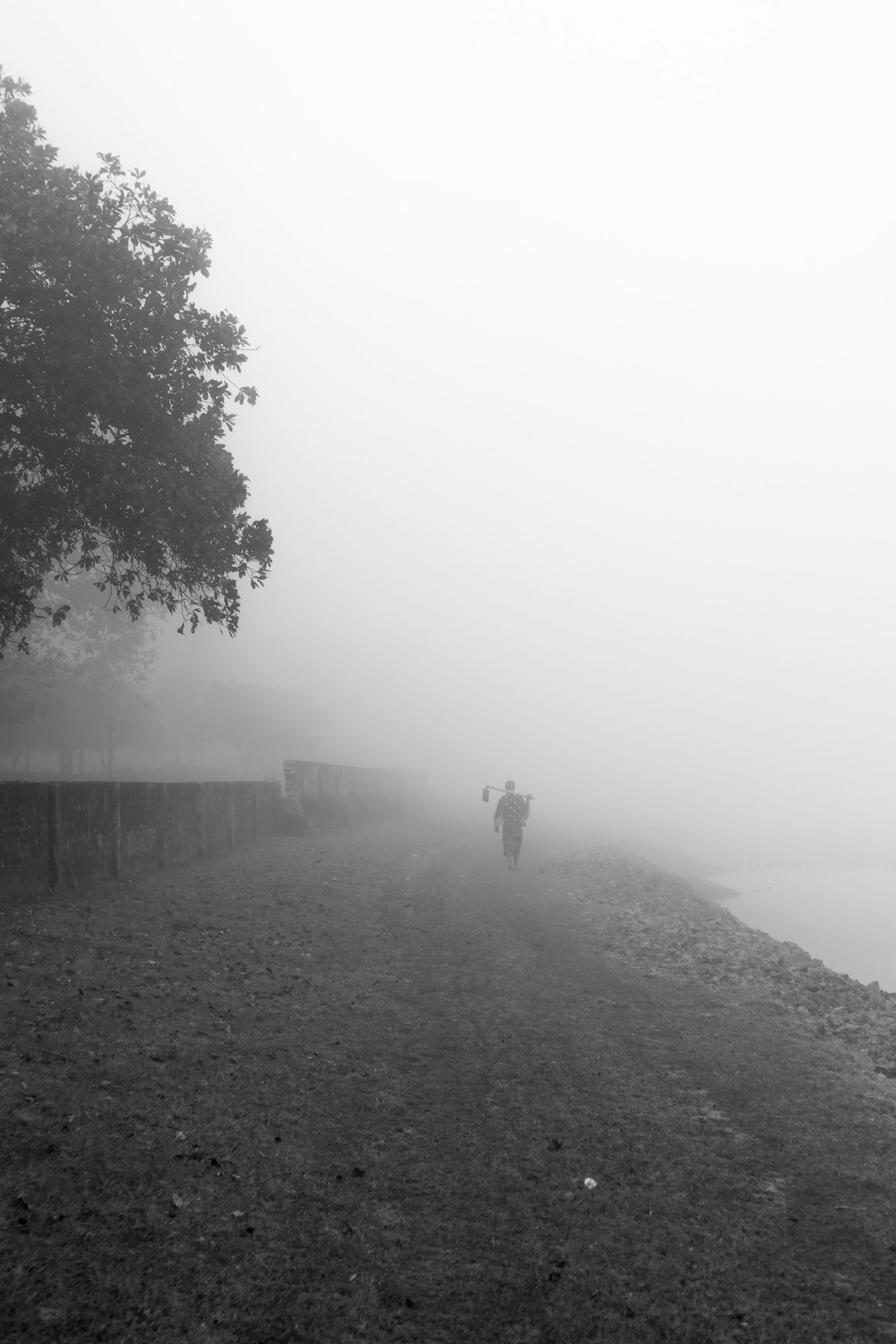 a couple of people walking down a foggy road