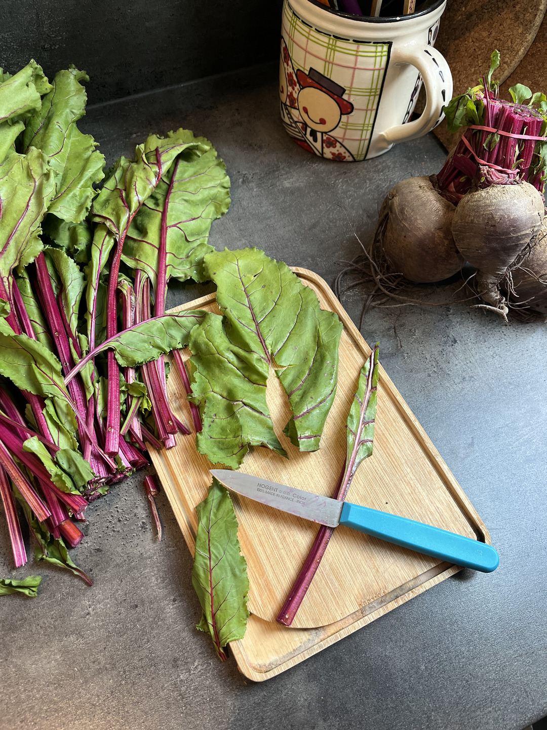 Fanes betterave rouge