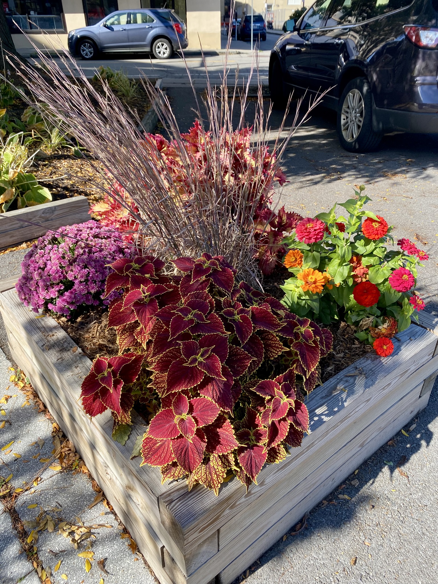 Parking Lot Planter on Main