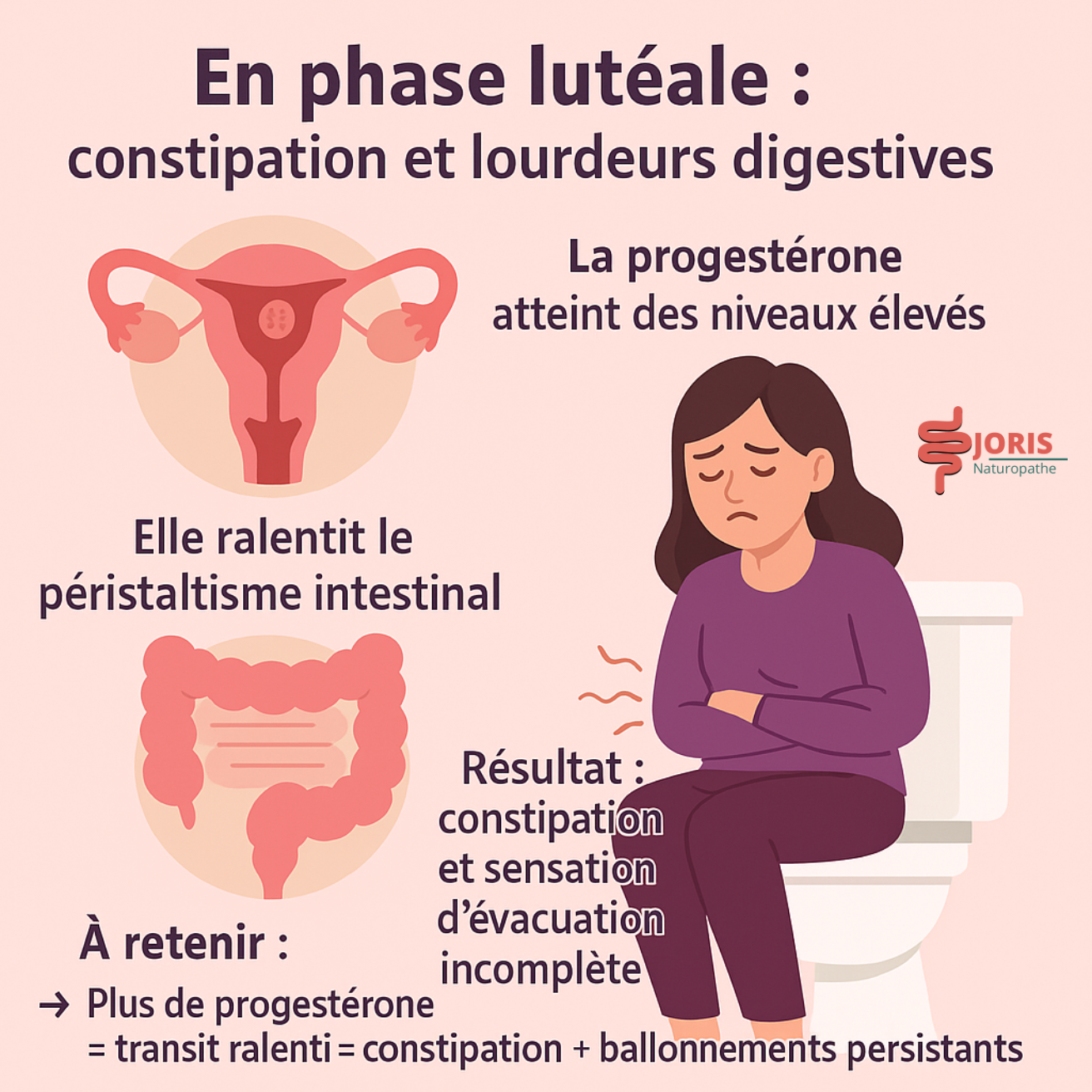 constipation progestérone