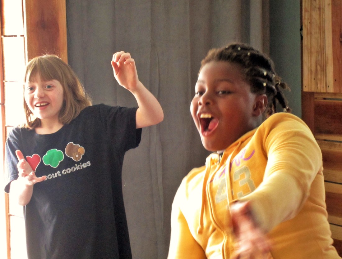 A mute swan charade activity for teaching The Trumpet of the Swan by E.B. White - a creative teaching idea from LitWits workshops