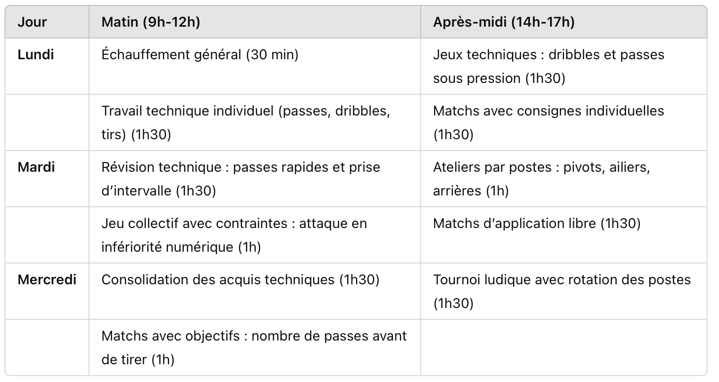 Stage de handball centré sur les compétences techniques et leur transfert vers le collectif