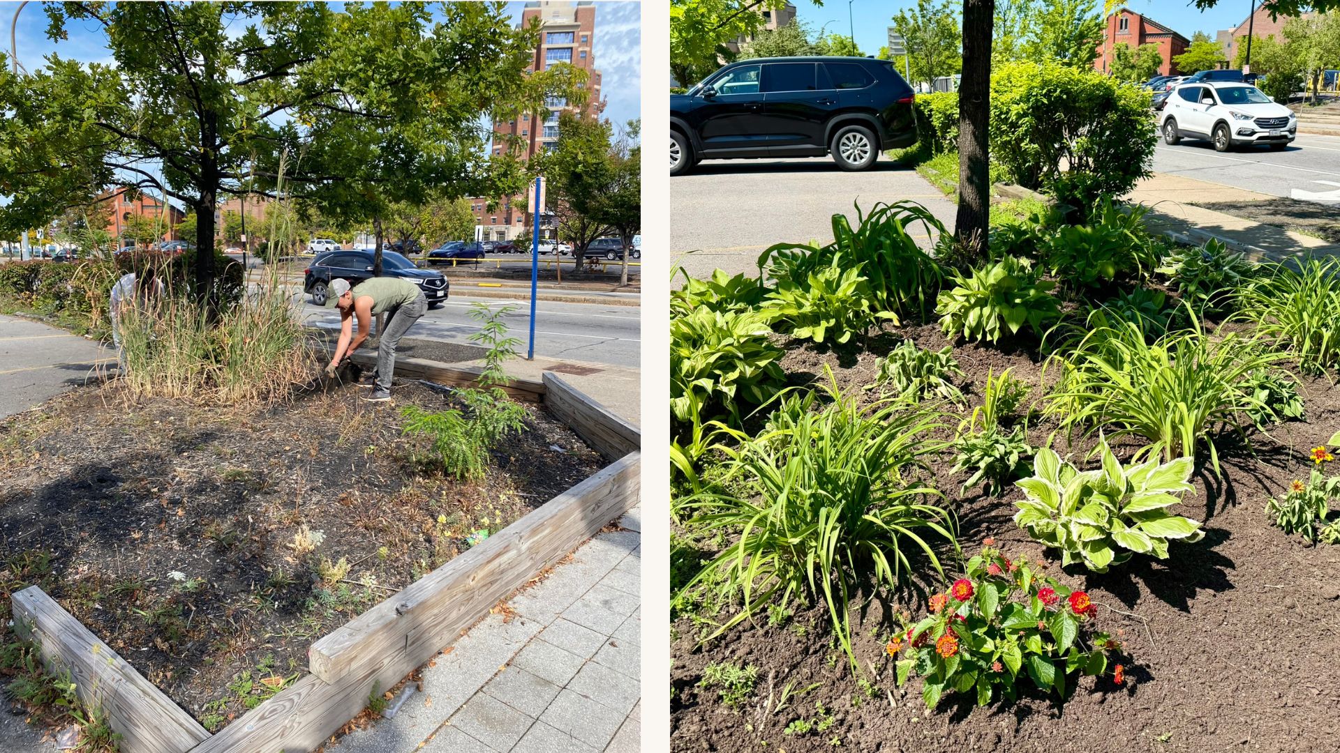 The transformation of the corner of E. Main & Chestnut continues