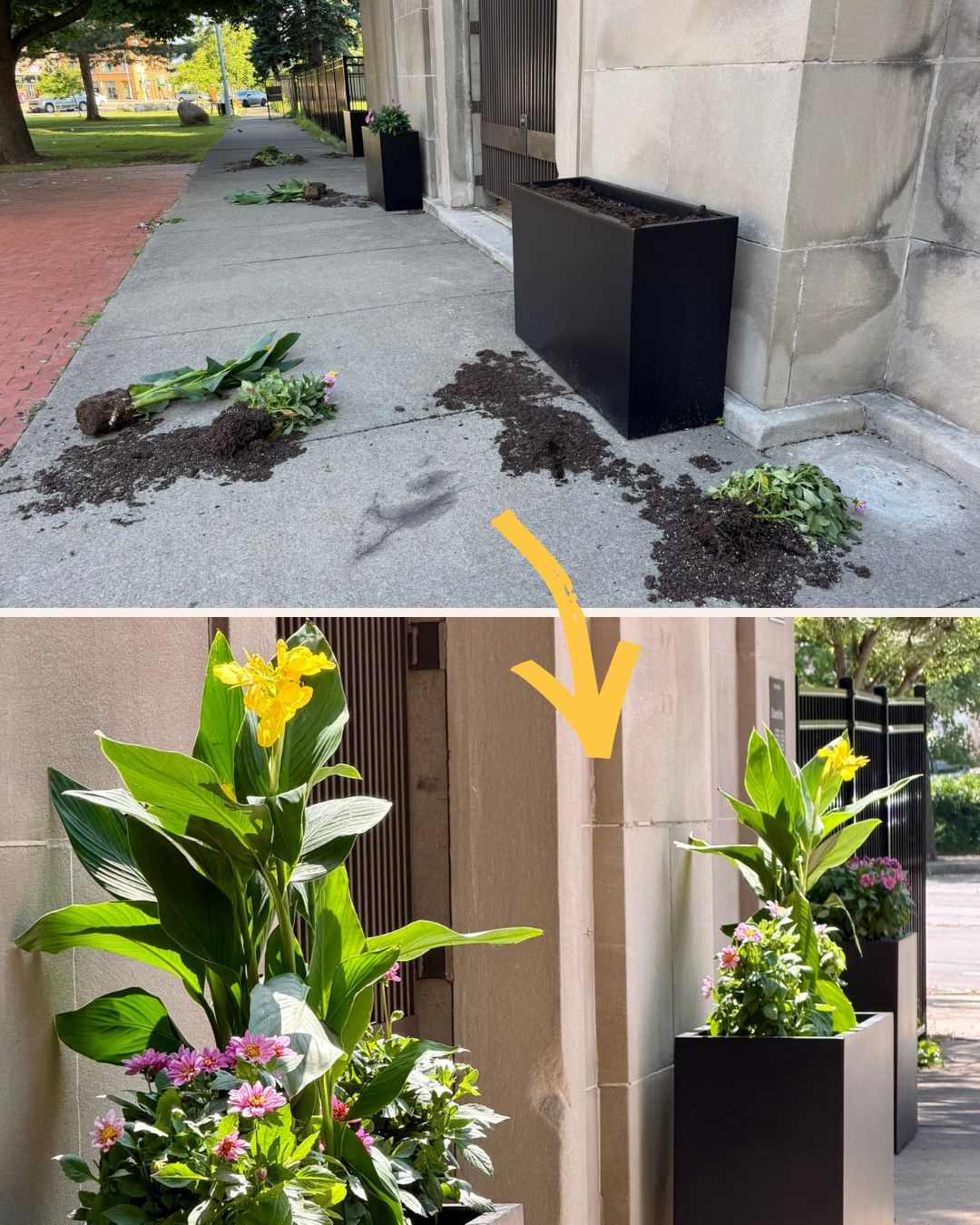 vandalism fix