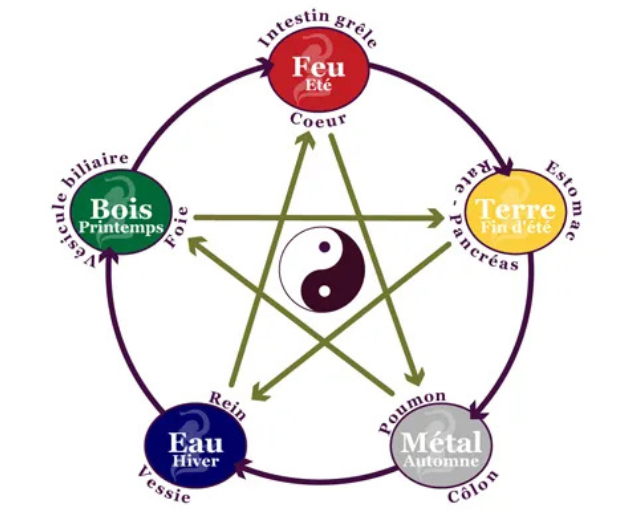 Schéma des 5 éléments