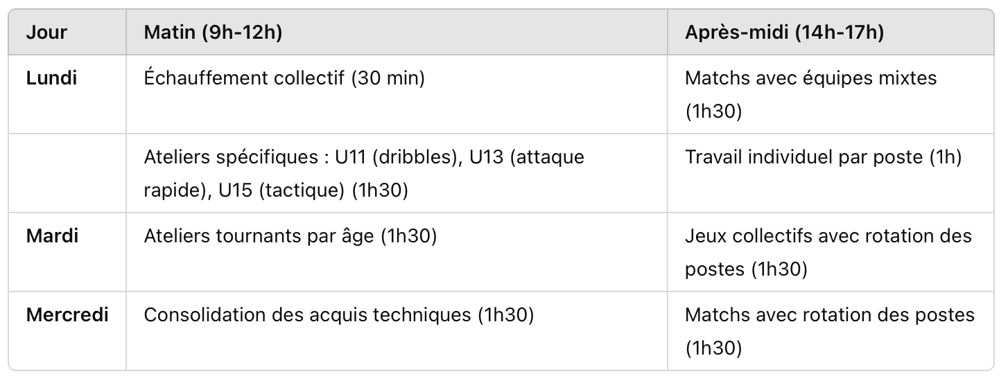 Stage handball : Ateliers thématiques par niveau