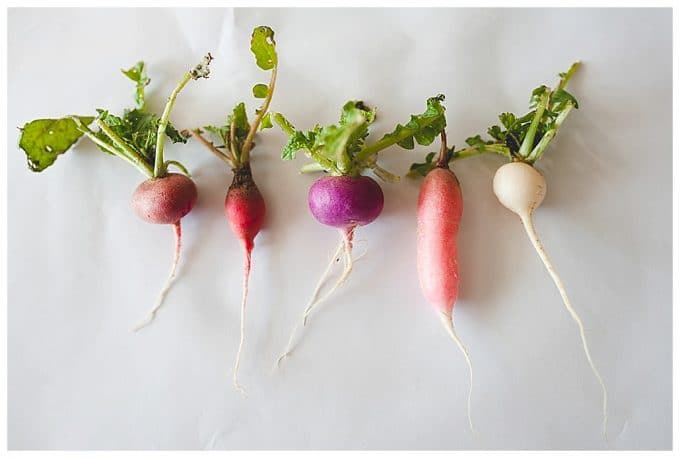 White background with multiple colored root vegetable all in a row showing the rule of repetition.