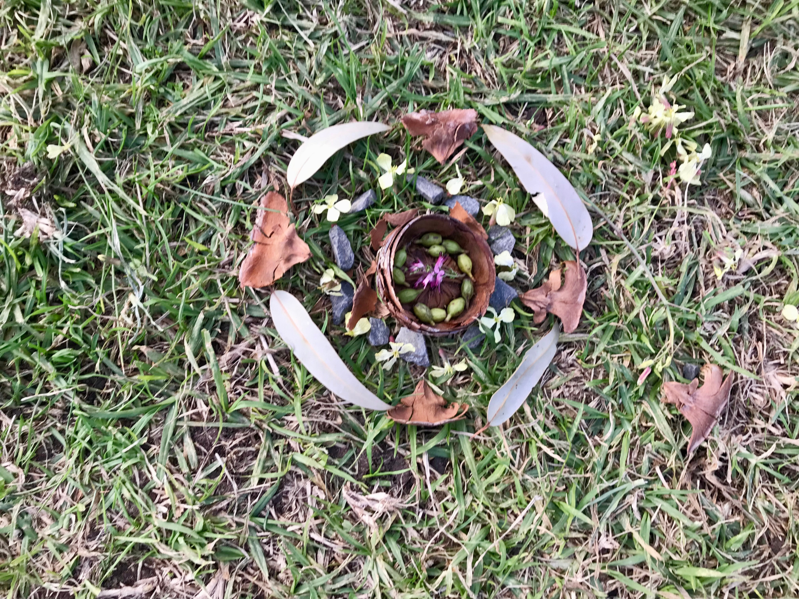 A nature mandala made by kids