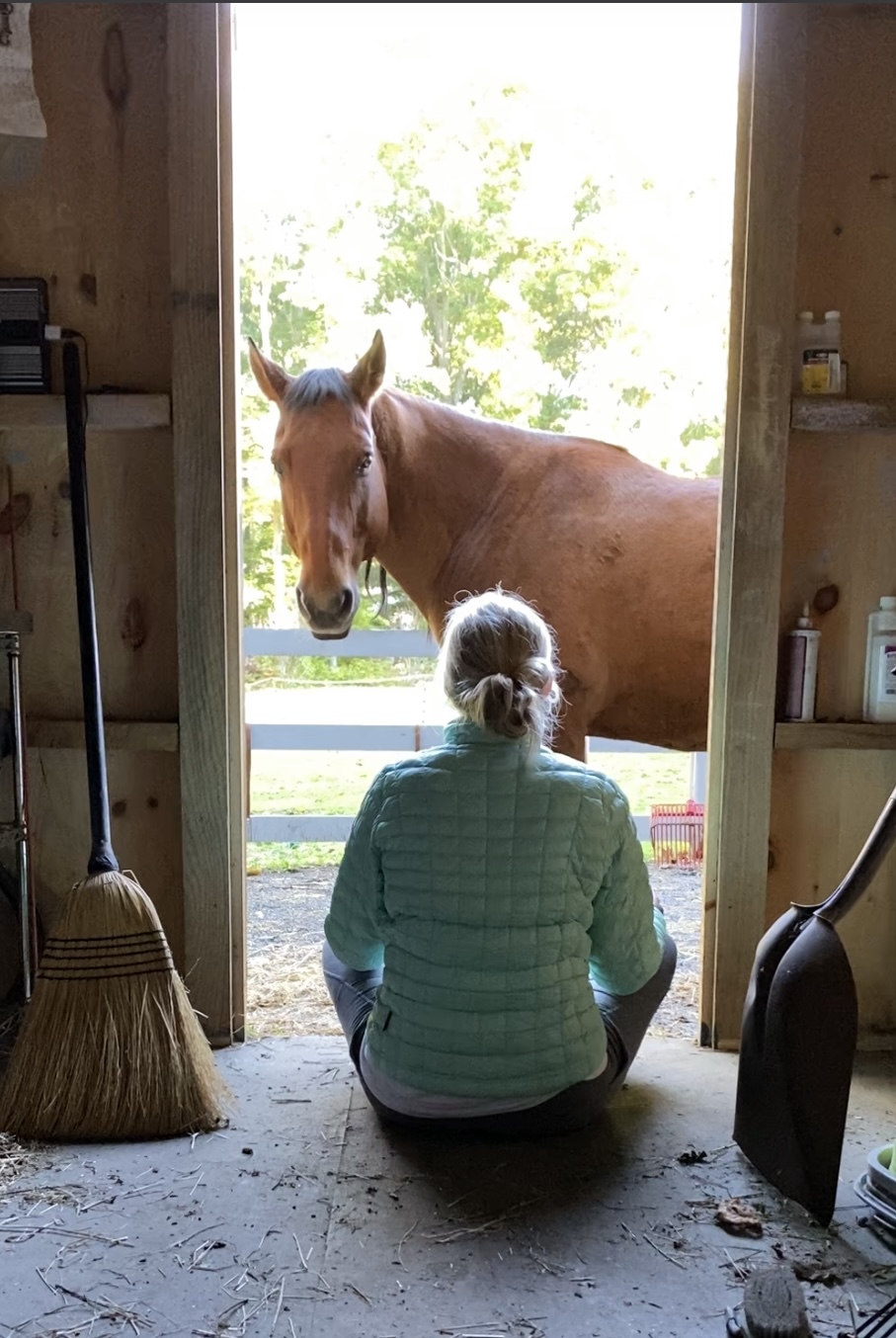 Melissa sitting mediating with her horse in front of her