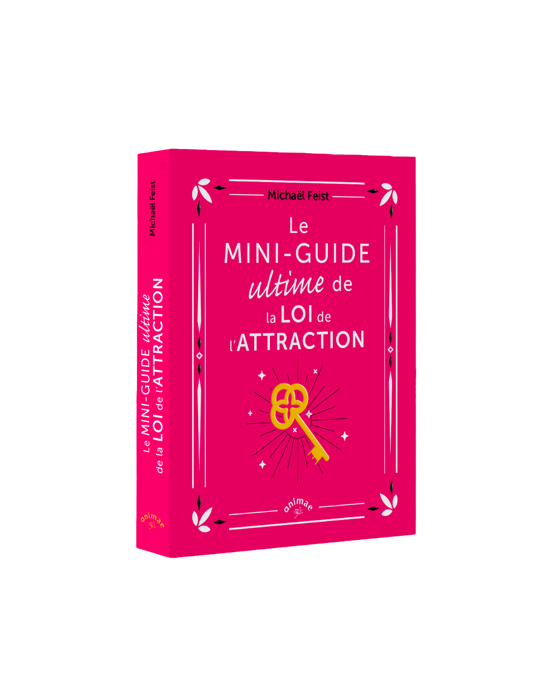 Michael FEIST mini guide ultime loi de l'attraction