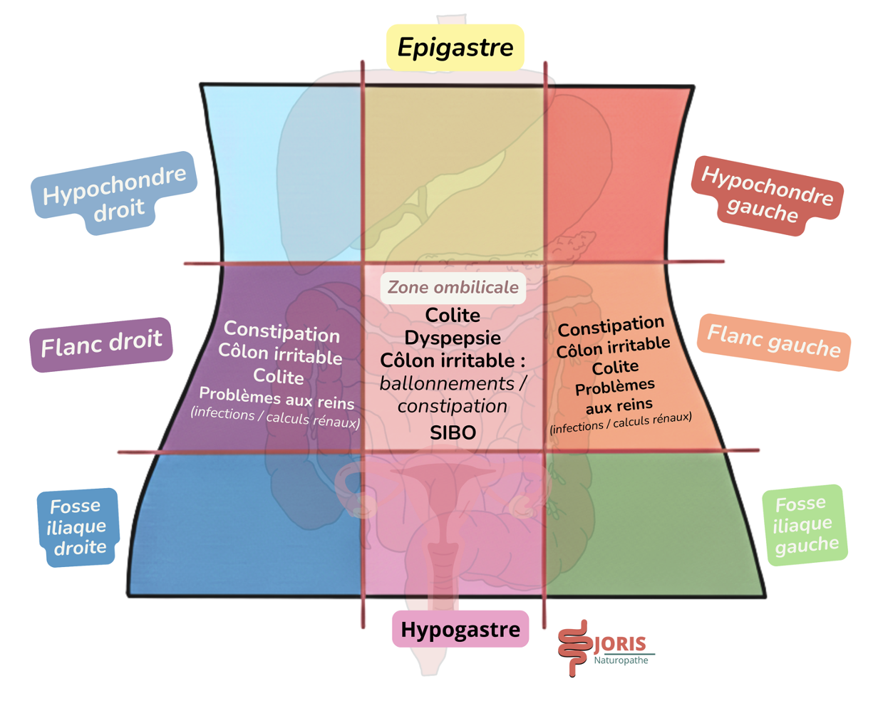 Douleur au milieu du ventre