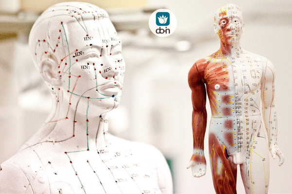 Overzicht meridianen bij Do-In Yoga